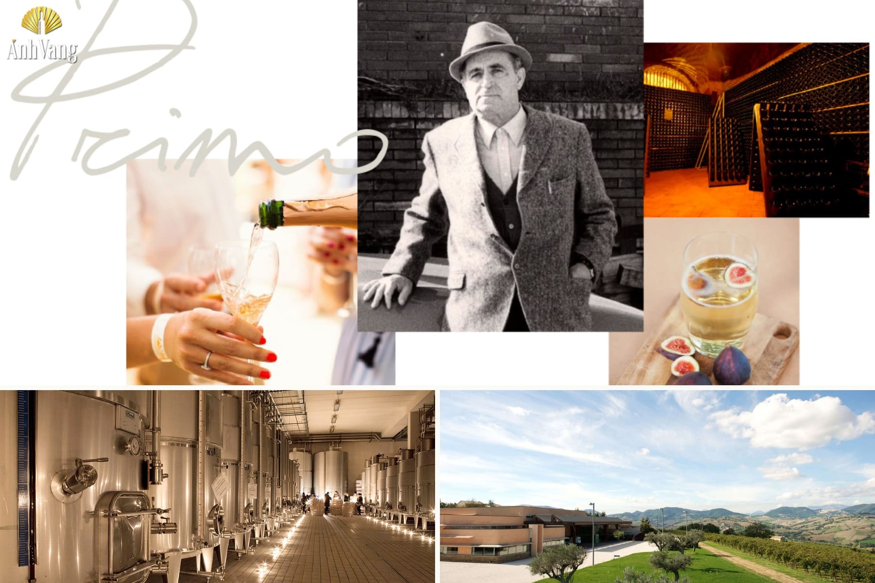 tam-nhin-thuong-hieu-casalfarneto