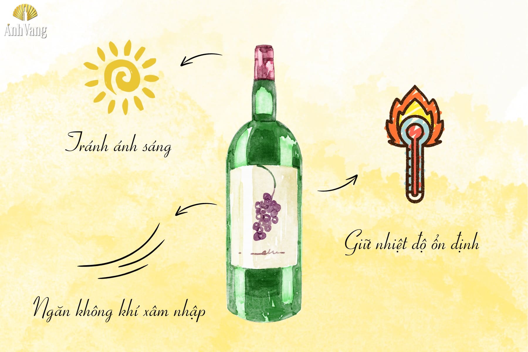 vai-tro-vo-chai-ruou-vang