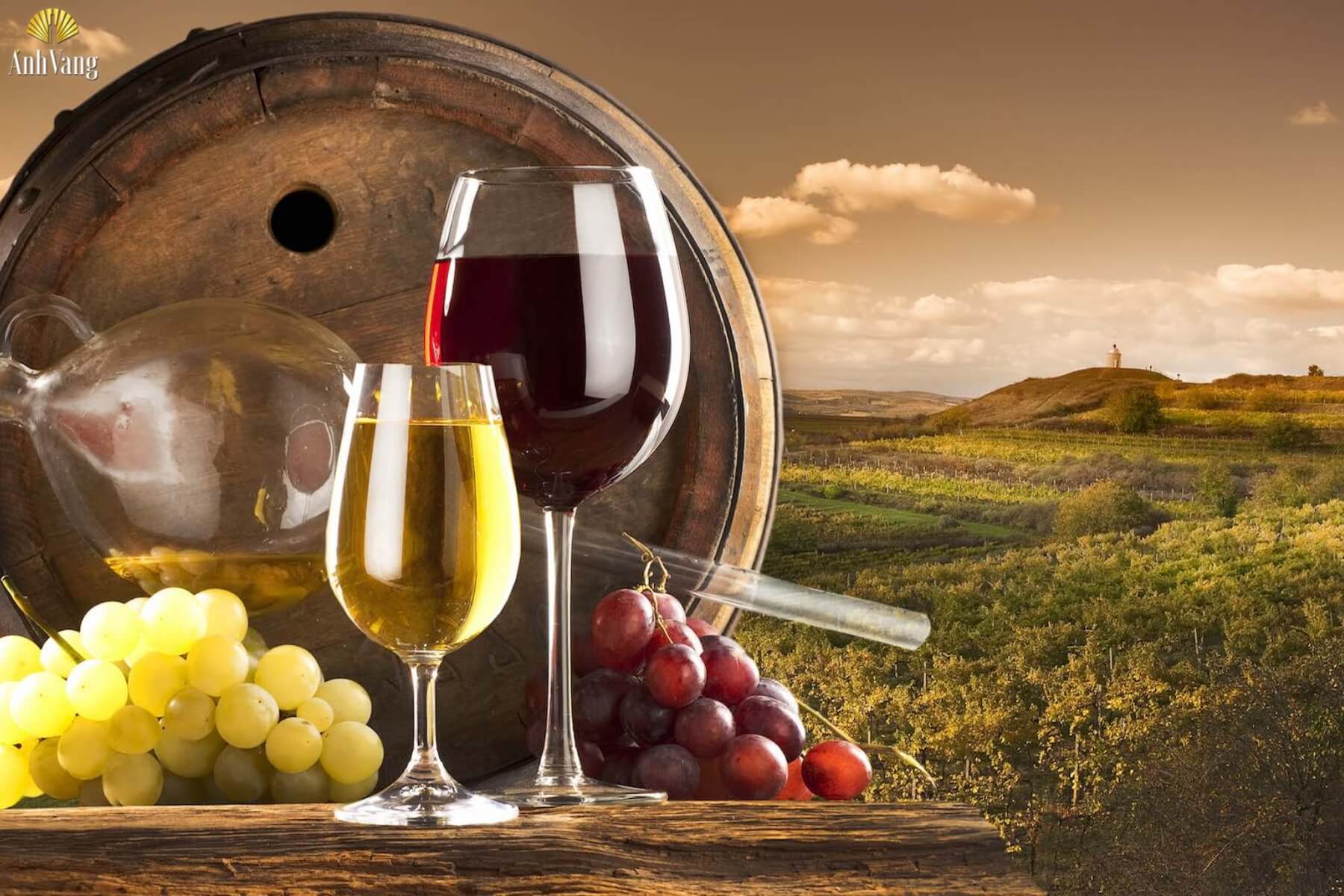 tai-sao-ly-vang-trang-nho-hon-ly-vang-do-1