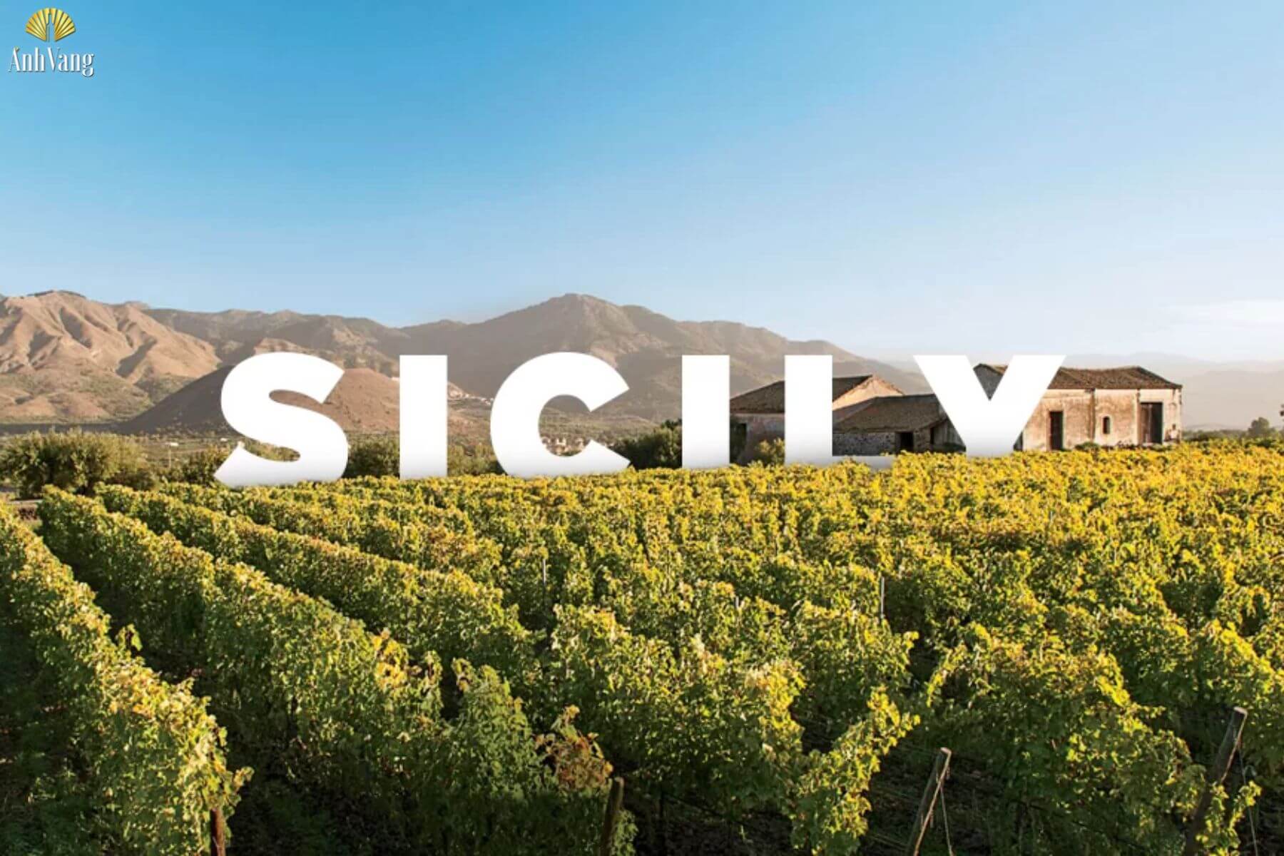 vung-sicily-noi-tieng-trong-nho-nero-davola