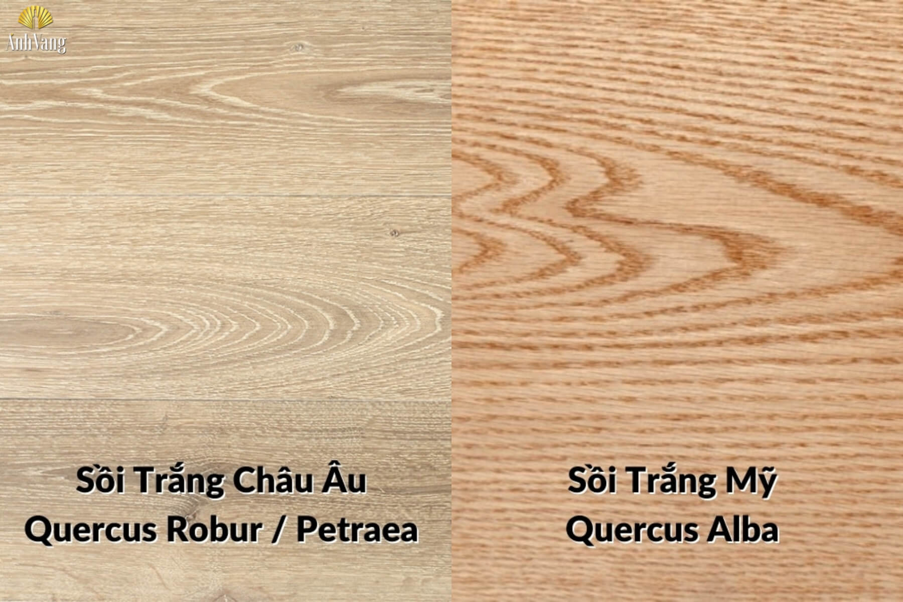 cac-loai-go-soi-u-ruou-vang-2