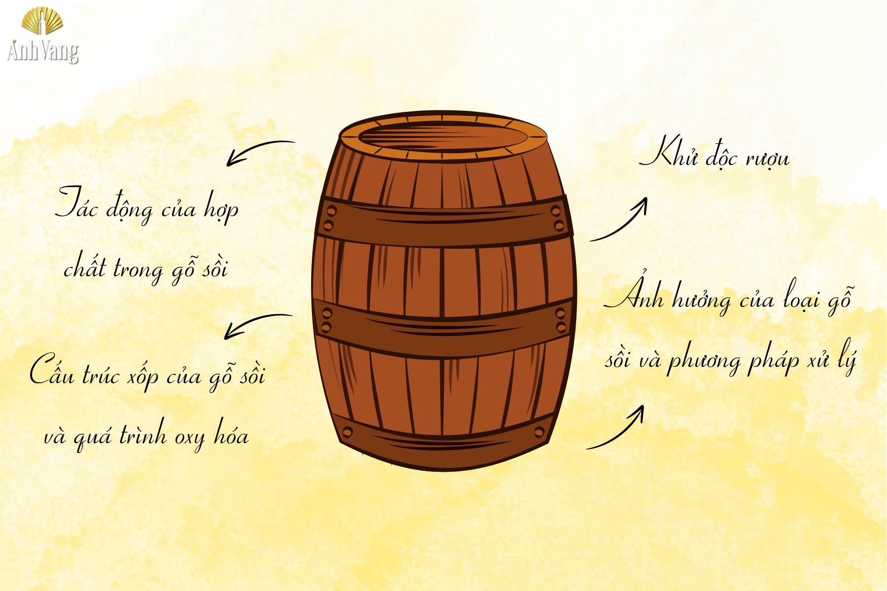 cach-thung-go-soi-anh-huong-den-huong-vi-cua-ruou-vang