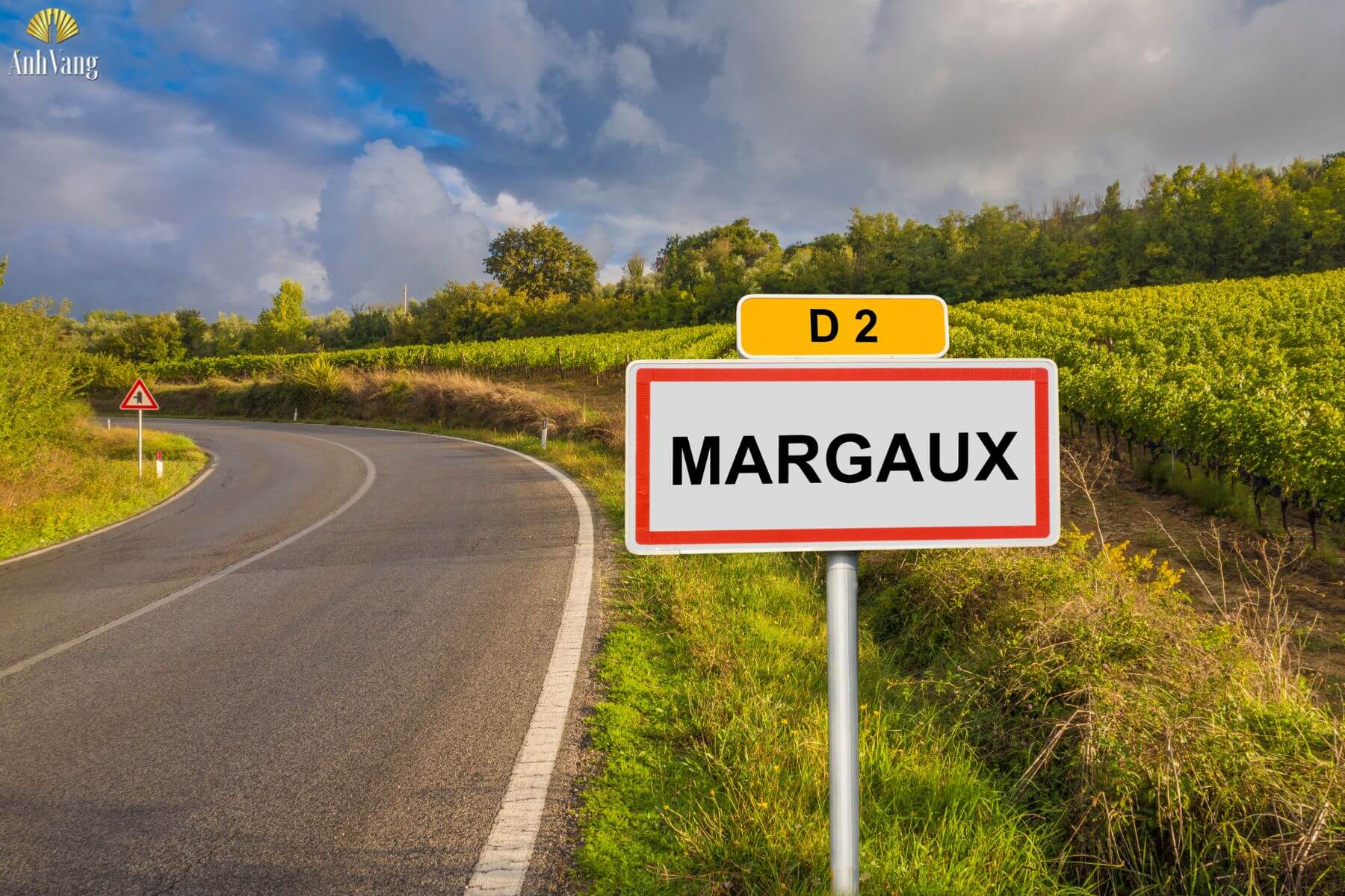 gioi-thieu-chung-ve-margaux