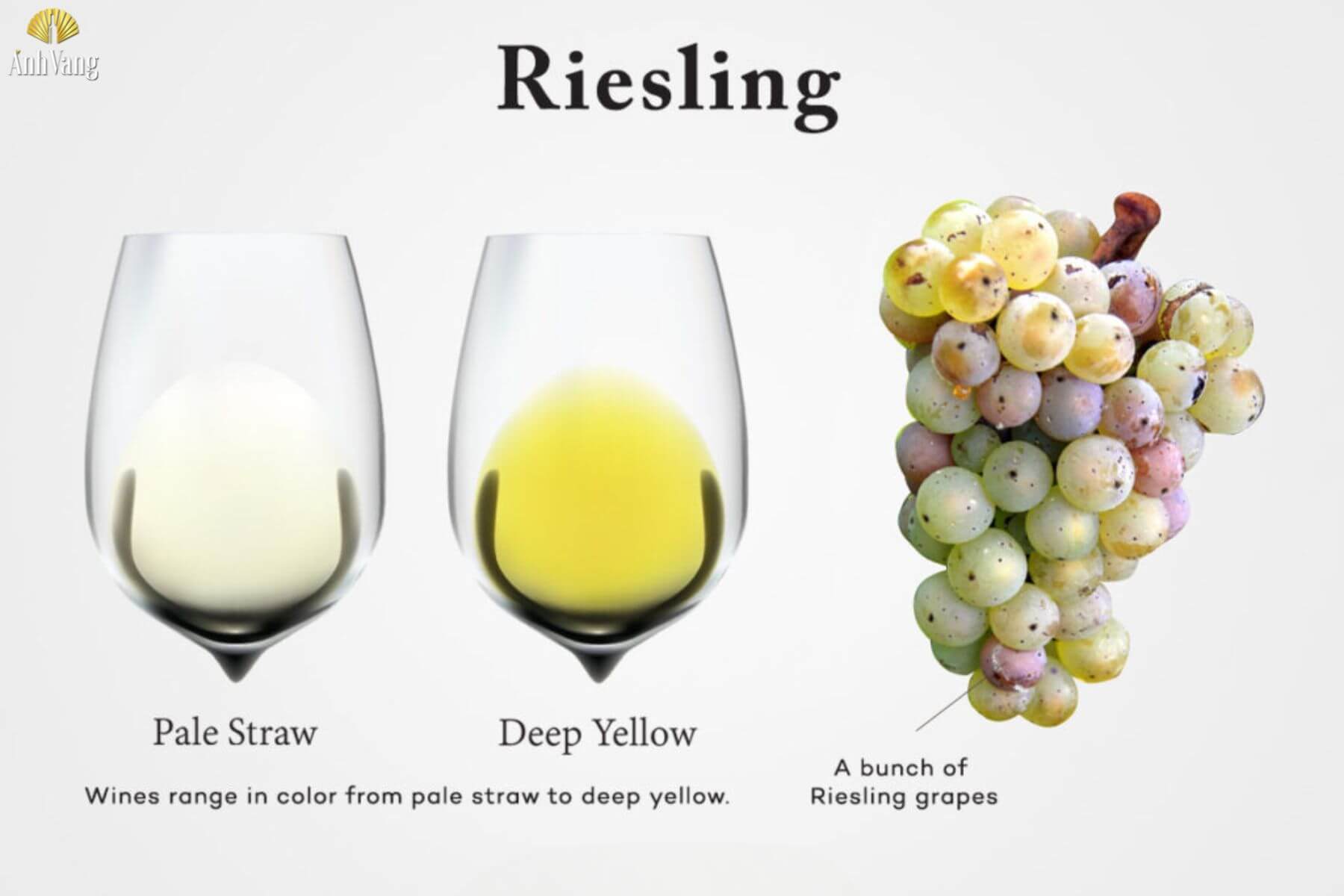 huong-vi-cua-ruou-vang-riesling