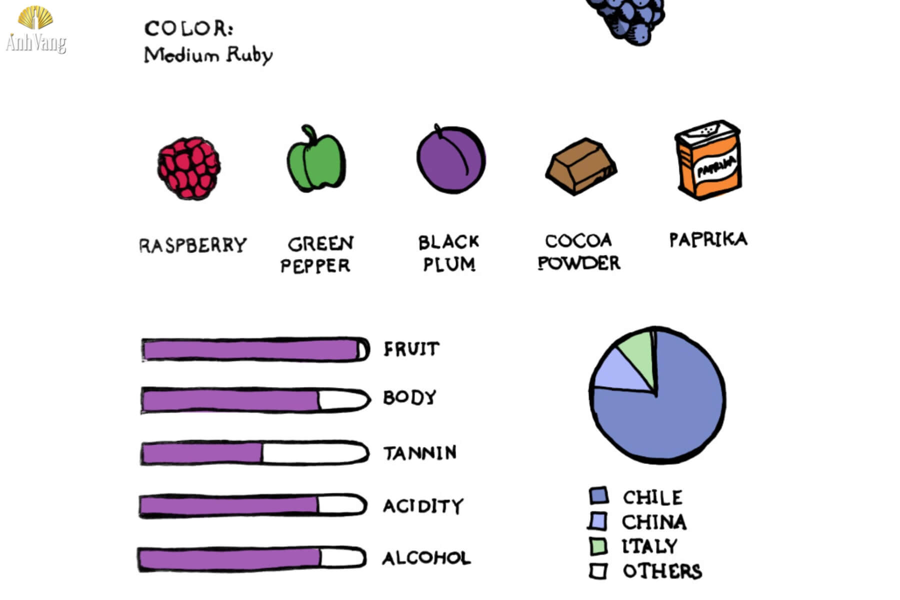 huong-vi-ruou-vang-carmenere-1