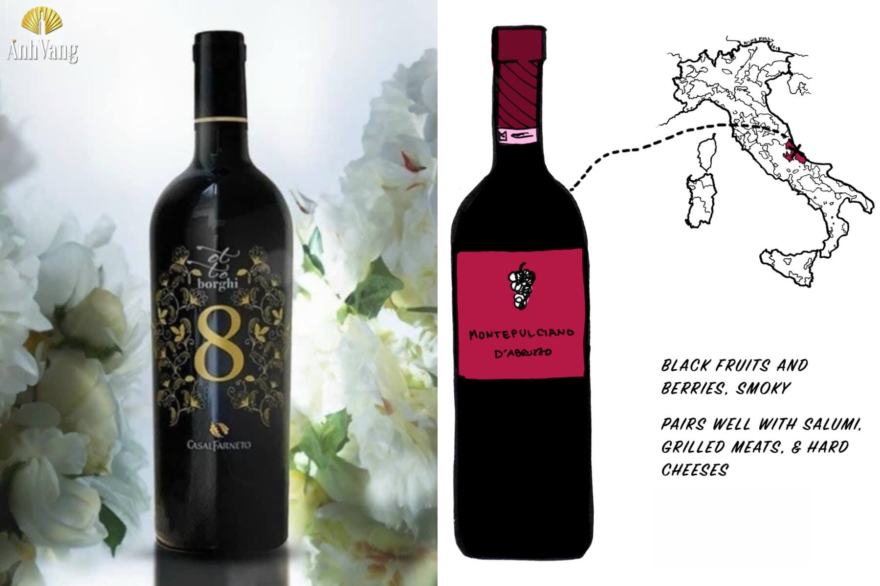 ruou-vang-do-y-cho-nguoi-moi-Montepulciano