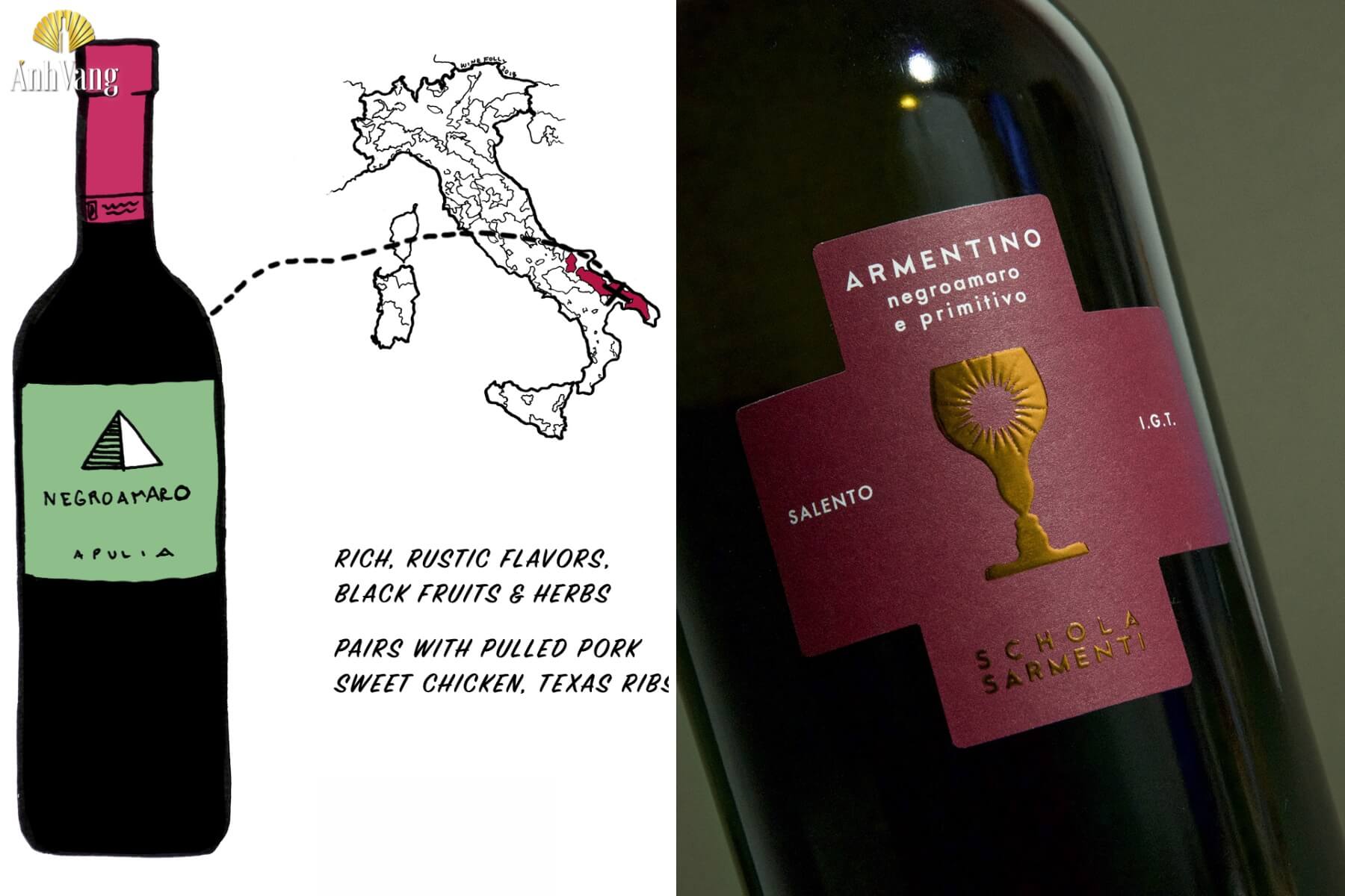 ruou-vang-do-y-cho-nguoi-moi-Negroamaro