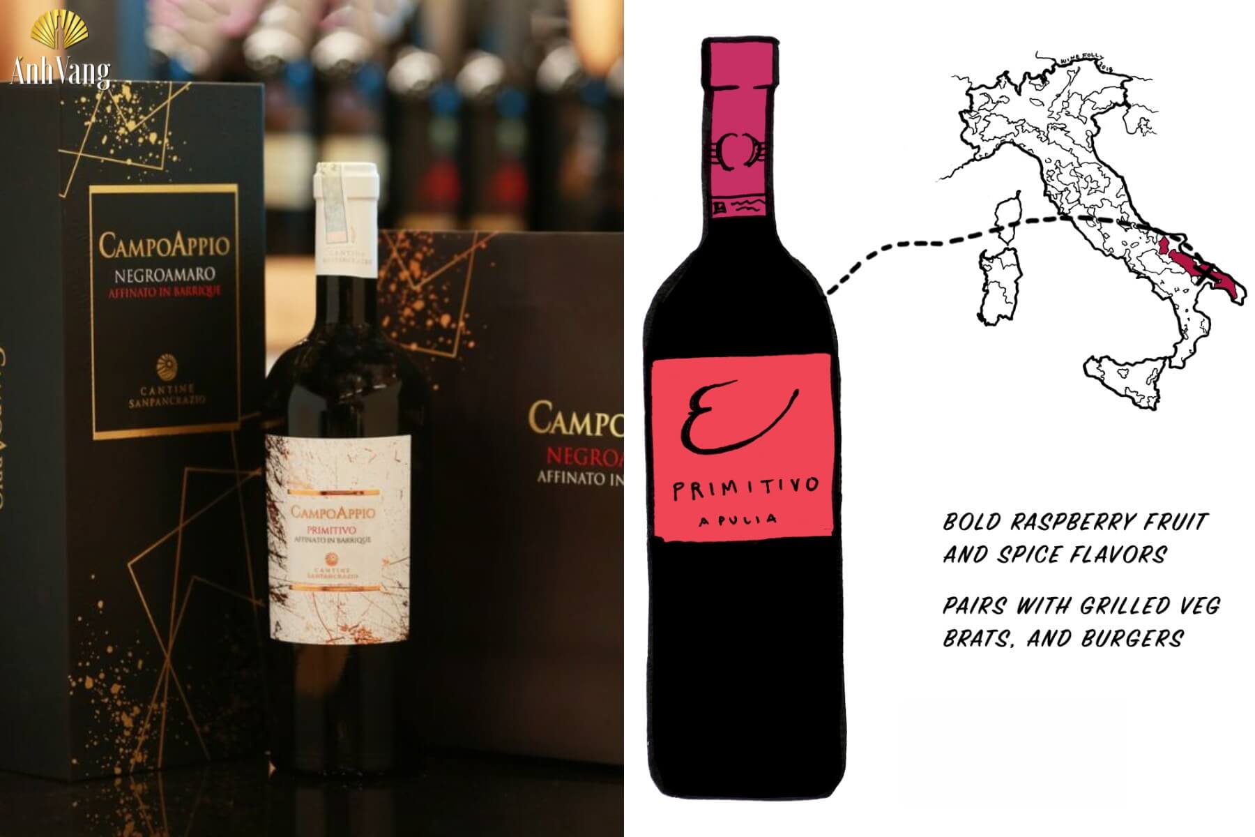 ruou-vang-do-y-cho-nguoi-moi-Primitivo