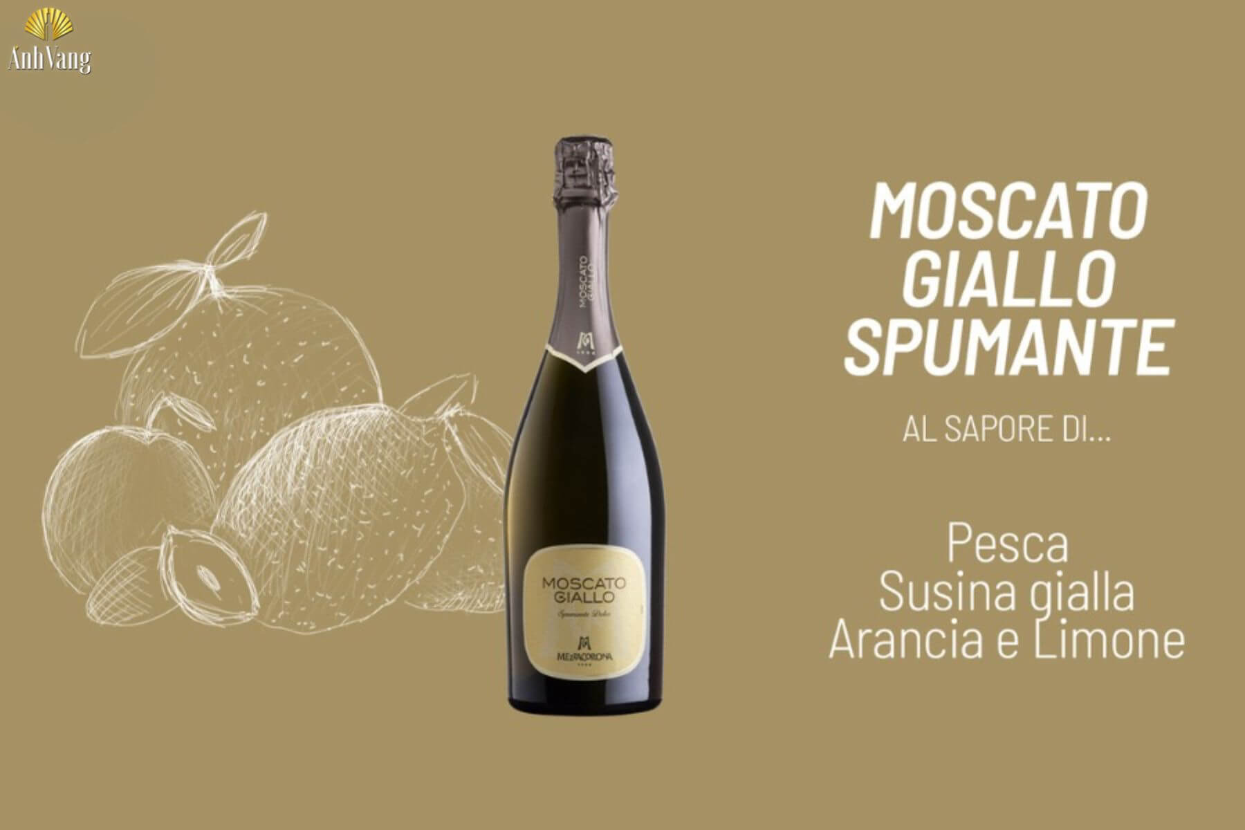 ruou-vang-trentino-Mezzacorona-Moscato-Giallo-Spumante