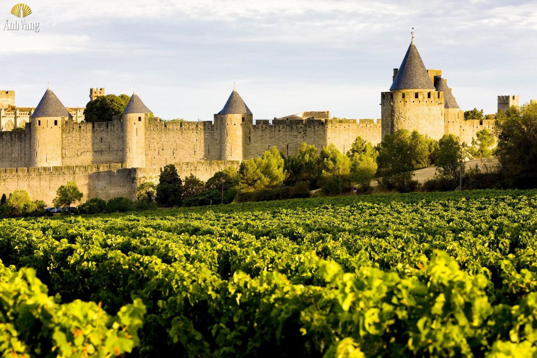 tong-quan-ve-languedoc