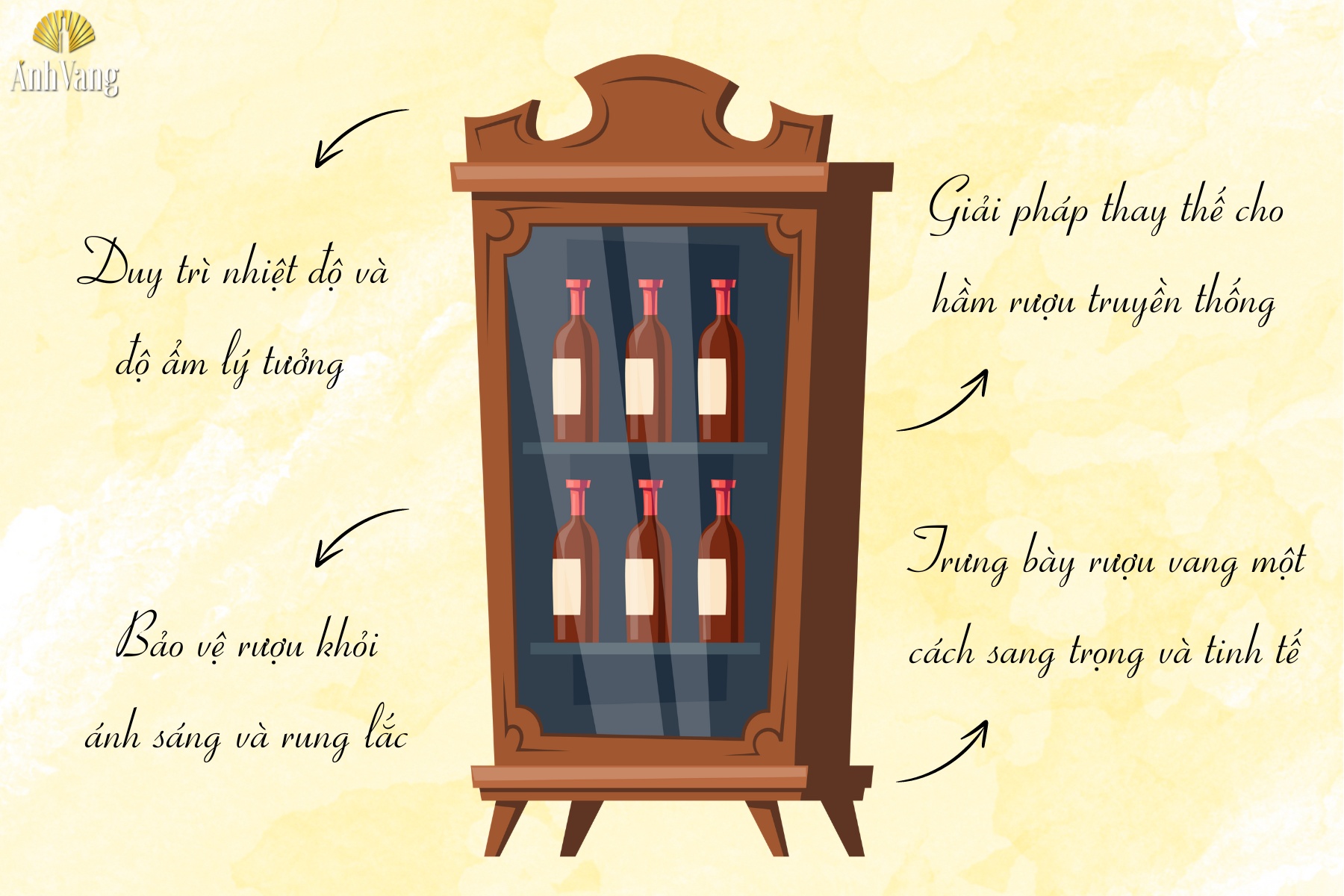 vai-tro-tu-dung-ruou-vang