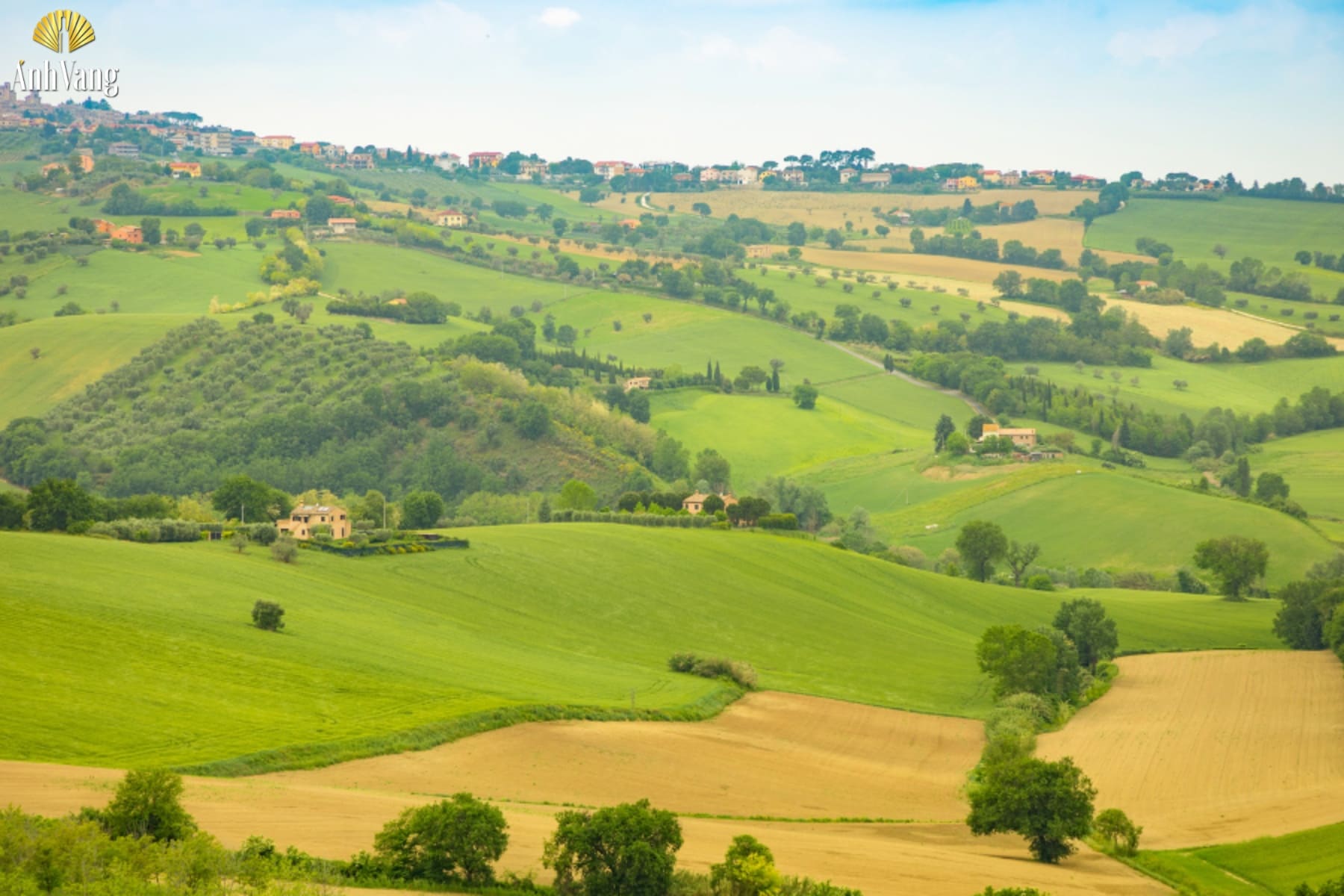 cac-tieu-vung-ruou-vang-cua-marche