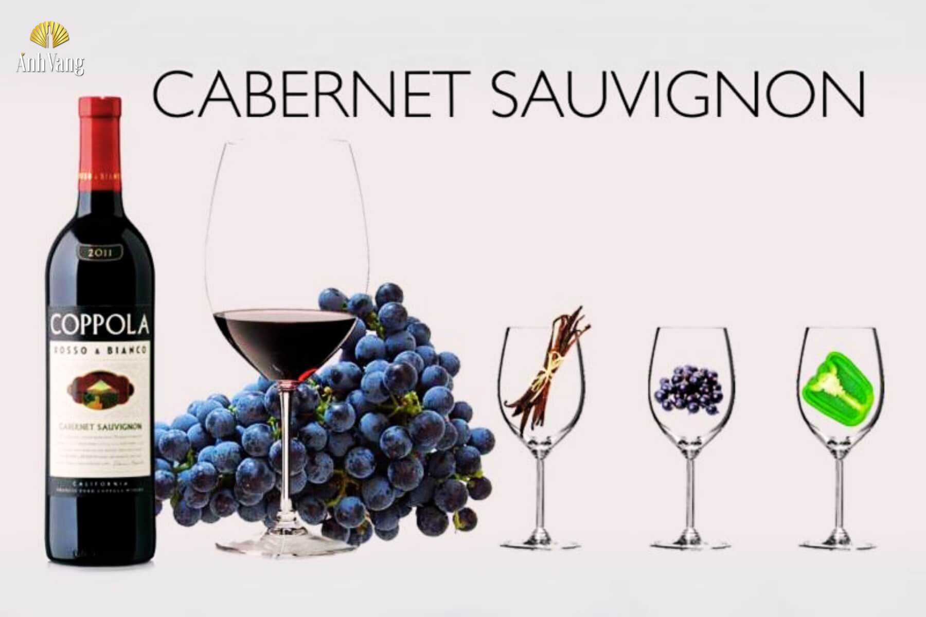 chat-hoa-hoc-dac-trung