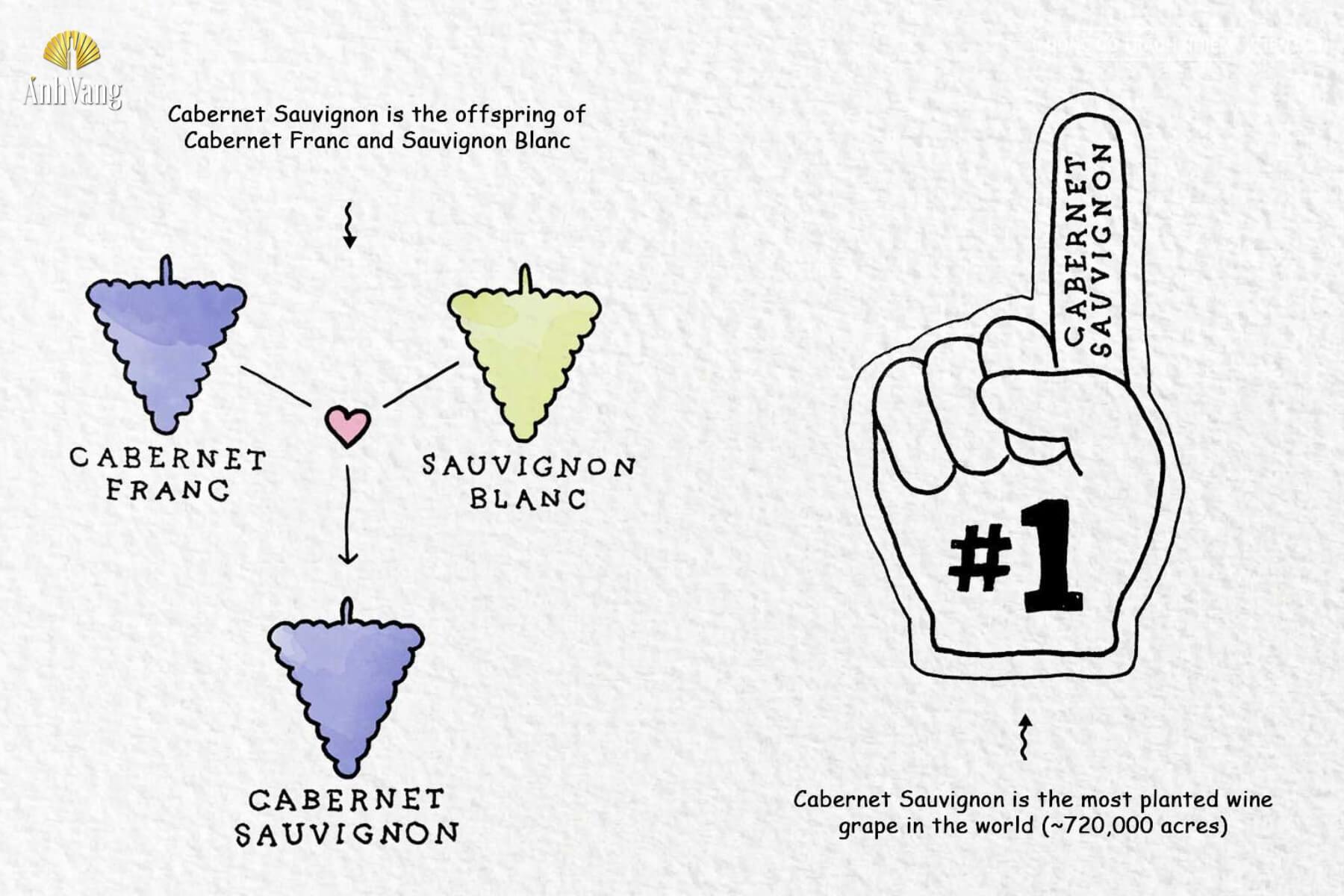 cuoc-hon-nhan-dac-biet-2