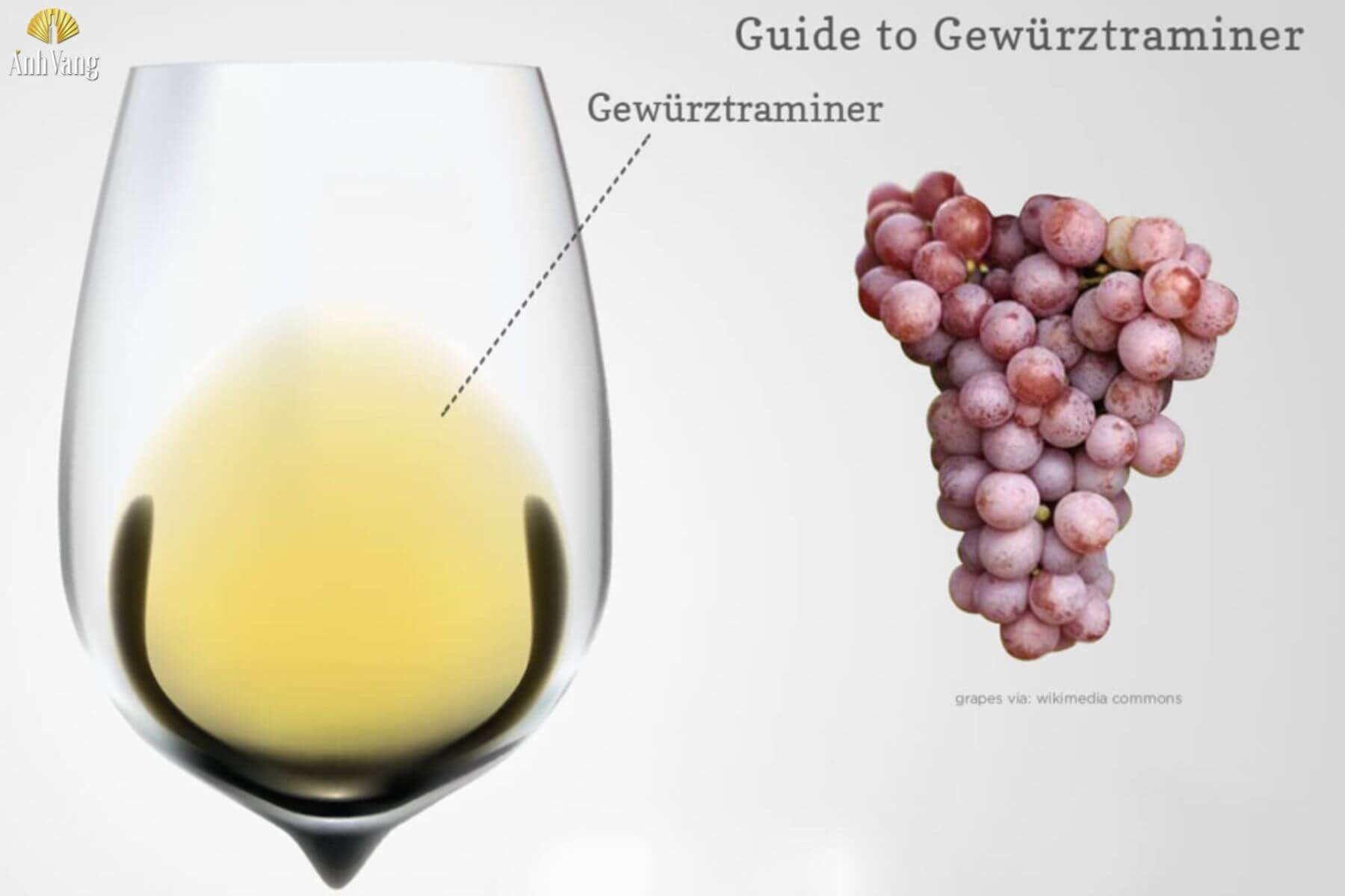 dac-diem-cua-nho-Gewurztraminer