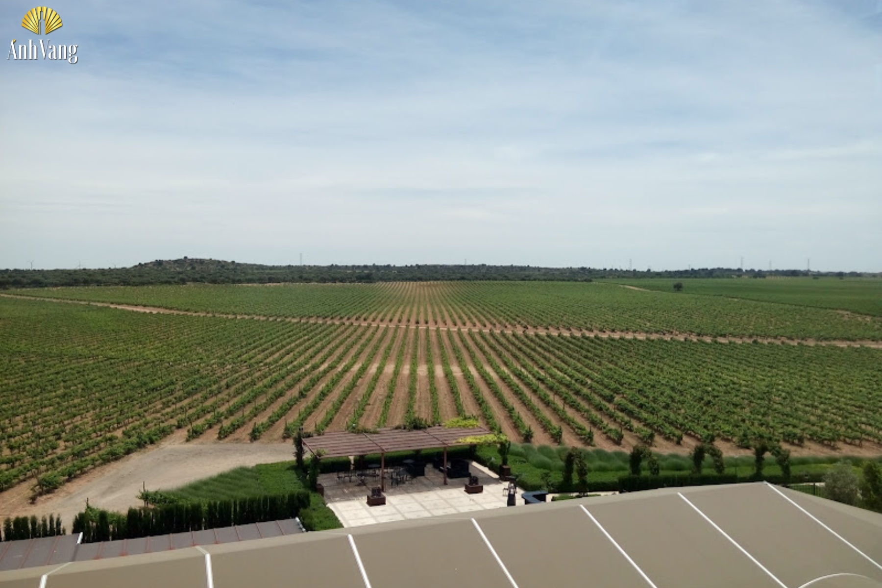 gioi-thieu-vung-ruou-vang-albacete