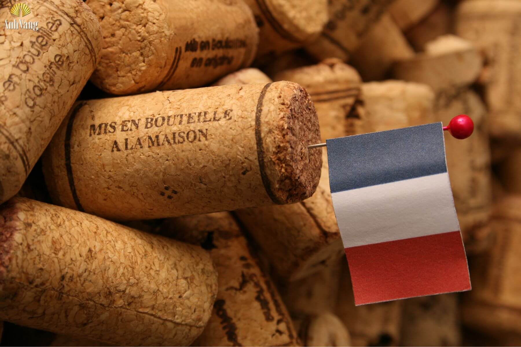 huong-vi-chung-ruou-vang-phap