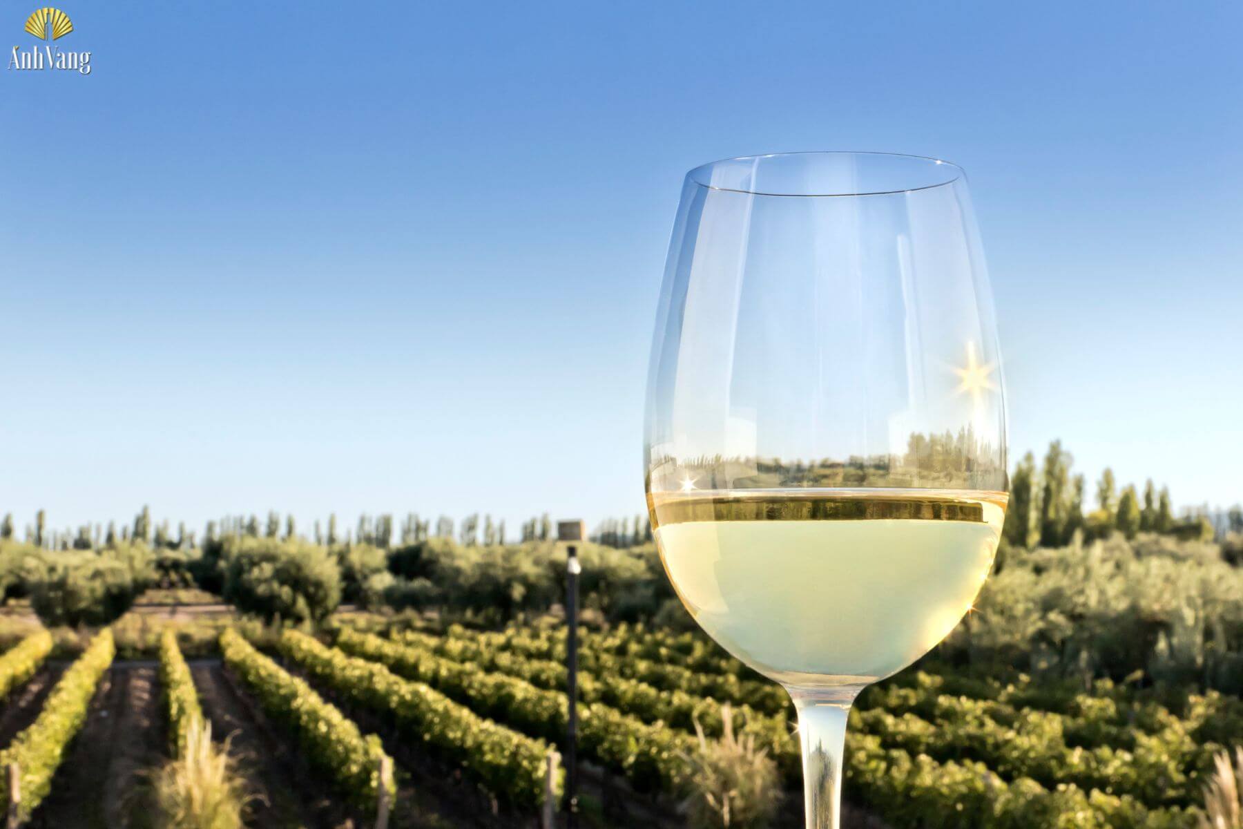 huong-vi-ruou-pinot-blanc