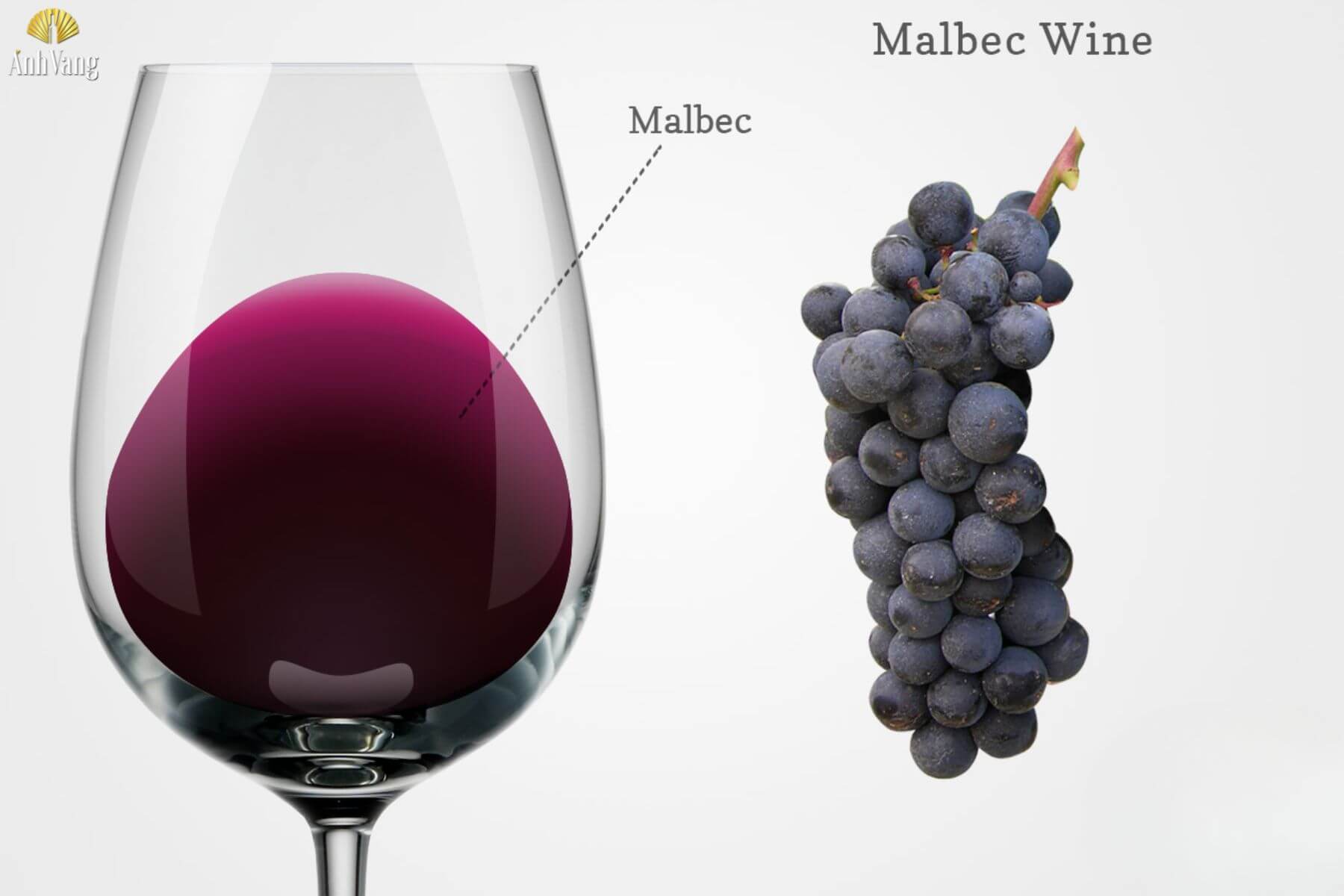 huong-vi-ruou-vang-malbec