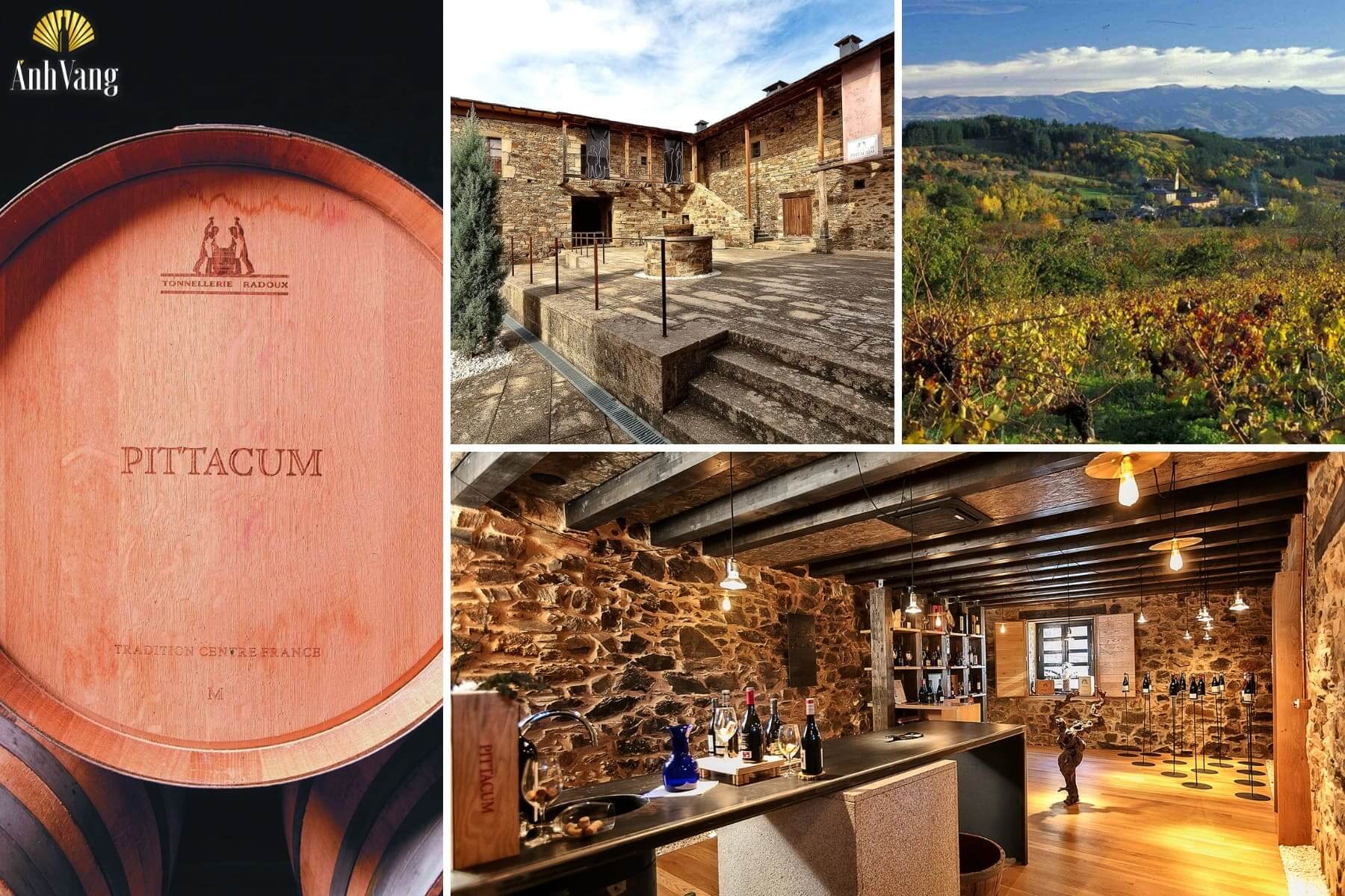 lich-su-thuong-hieu-pittacum