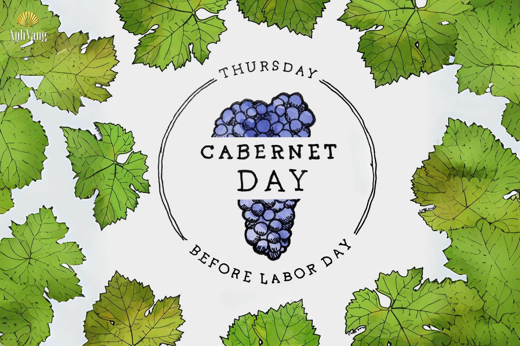 ngay-le-chinh-thuc-cua-cabernet-sauvignon