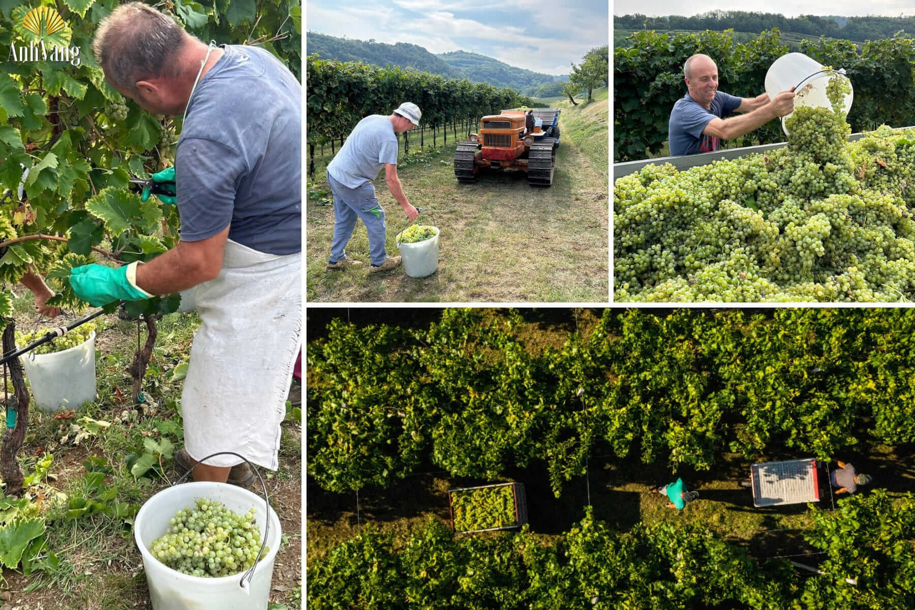 quy-trinh-san-xuat-Cielo-E-Terra