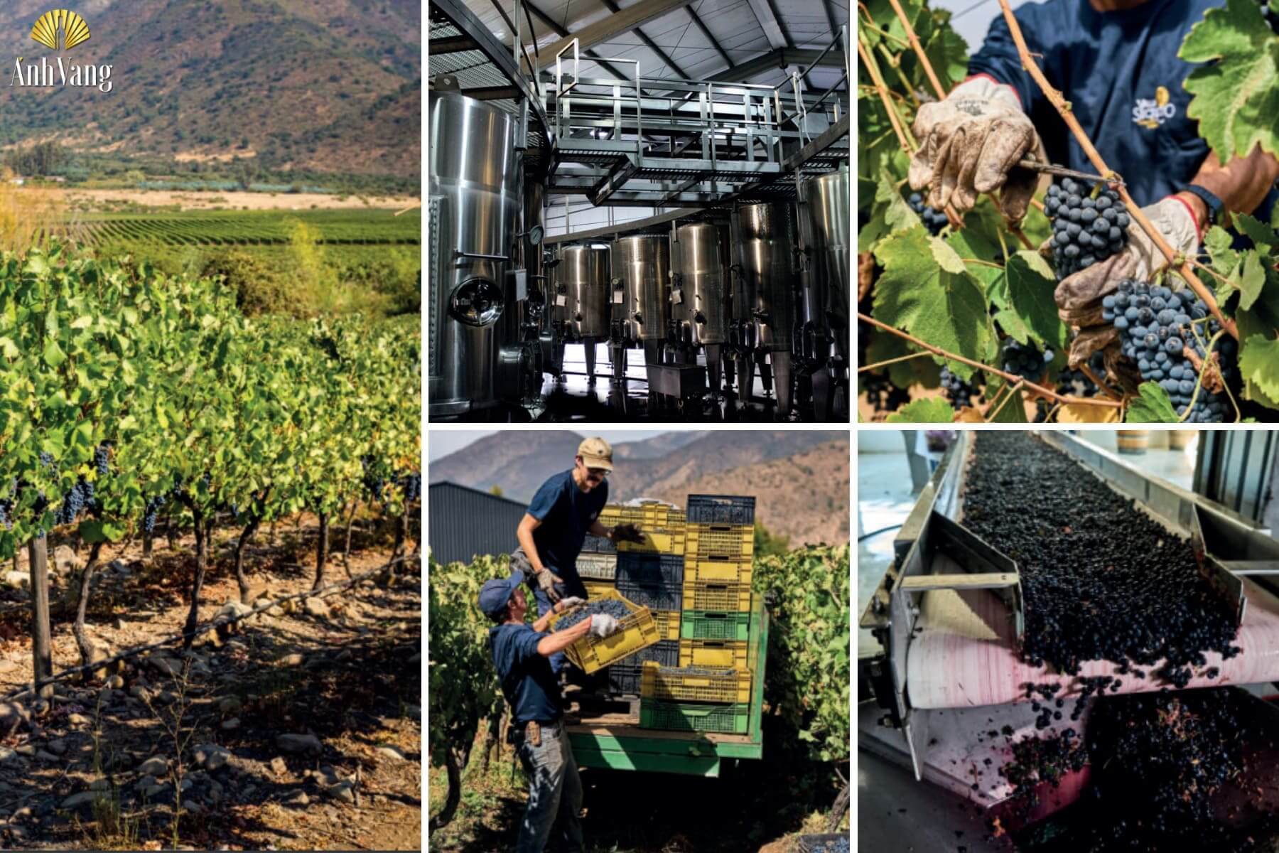 quy-trinh-san-xuat-valle-secreto