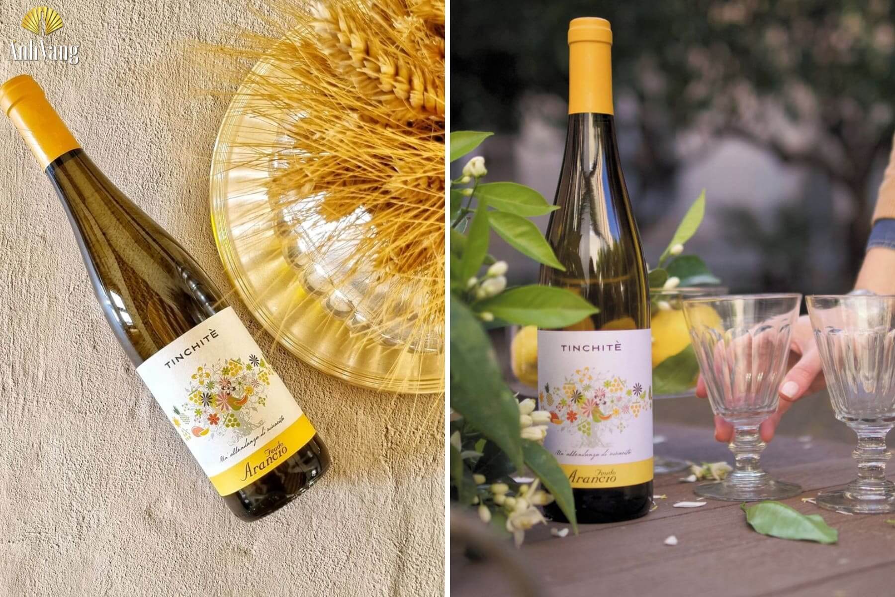 ruou-vang-grillo-Tinchite