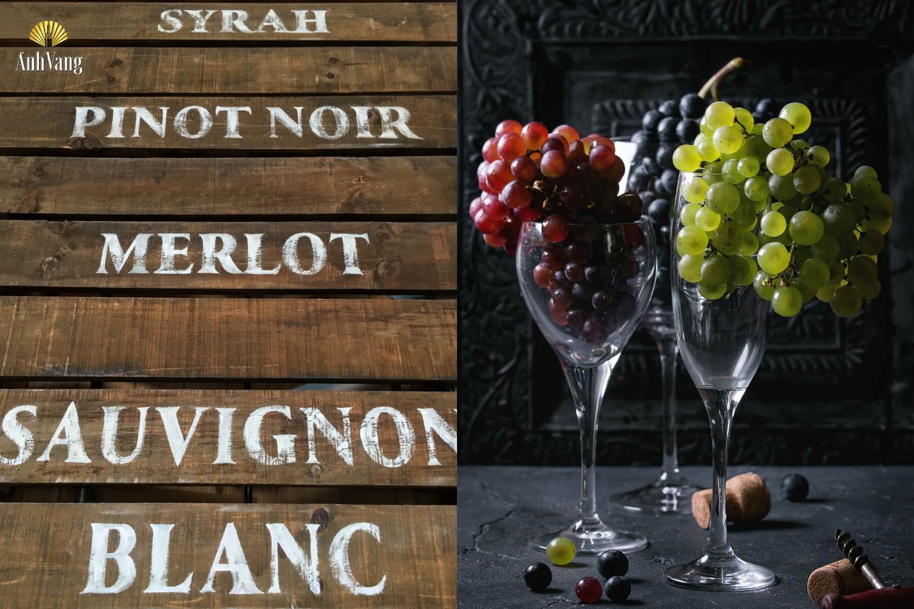 su-hien-dien-tron-cac-hon-hop-ruou-noi-tieng