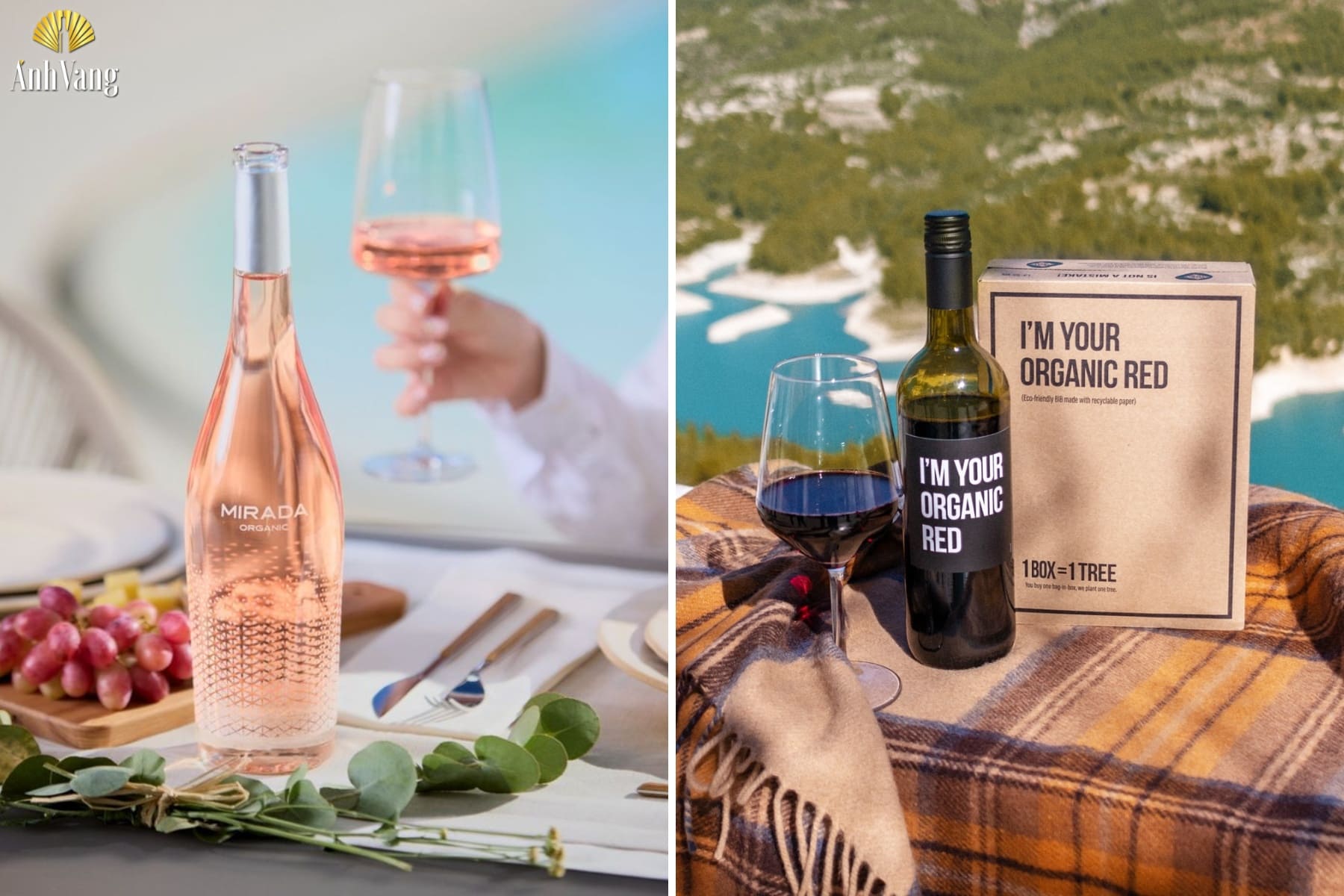 thuong-hieu-Hammeken-Cellars-ruou-vang-huu-co