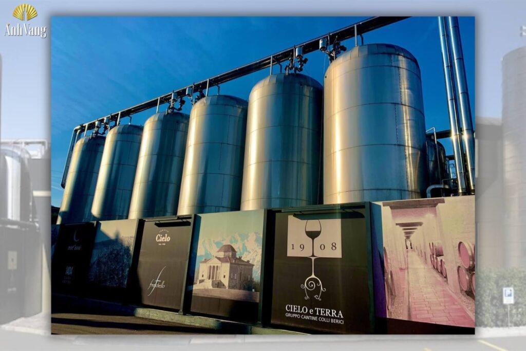 thuong-hieu-ruou-vang-Cielo-E-Terra