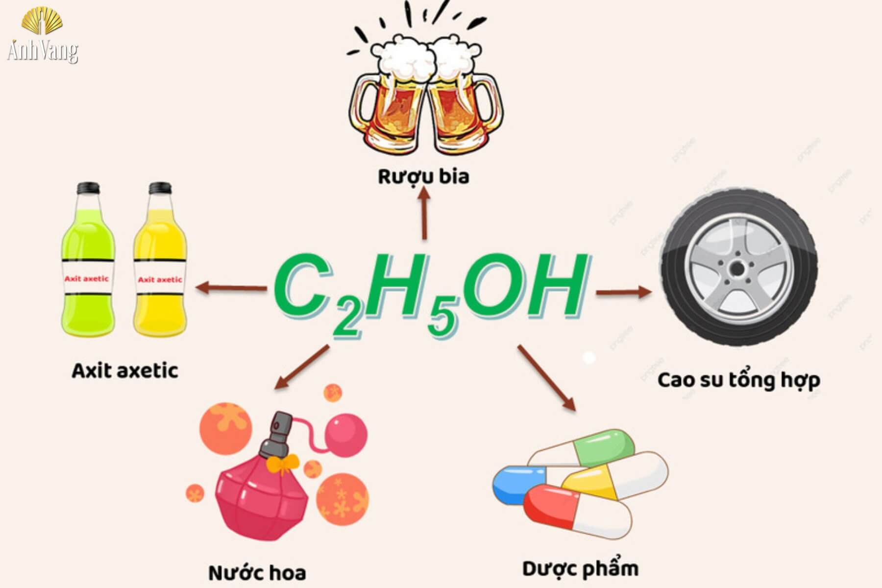 ung-dung-cua-ruou-trog-doi-song