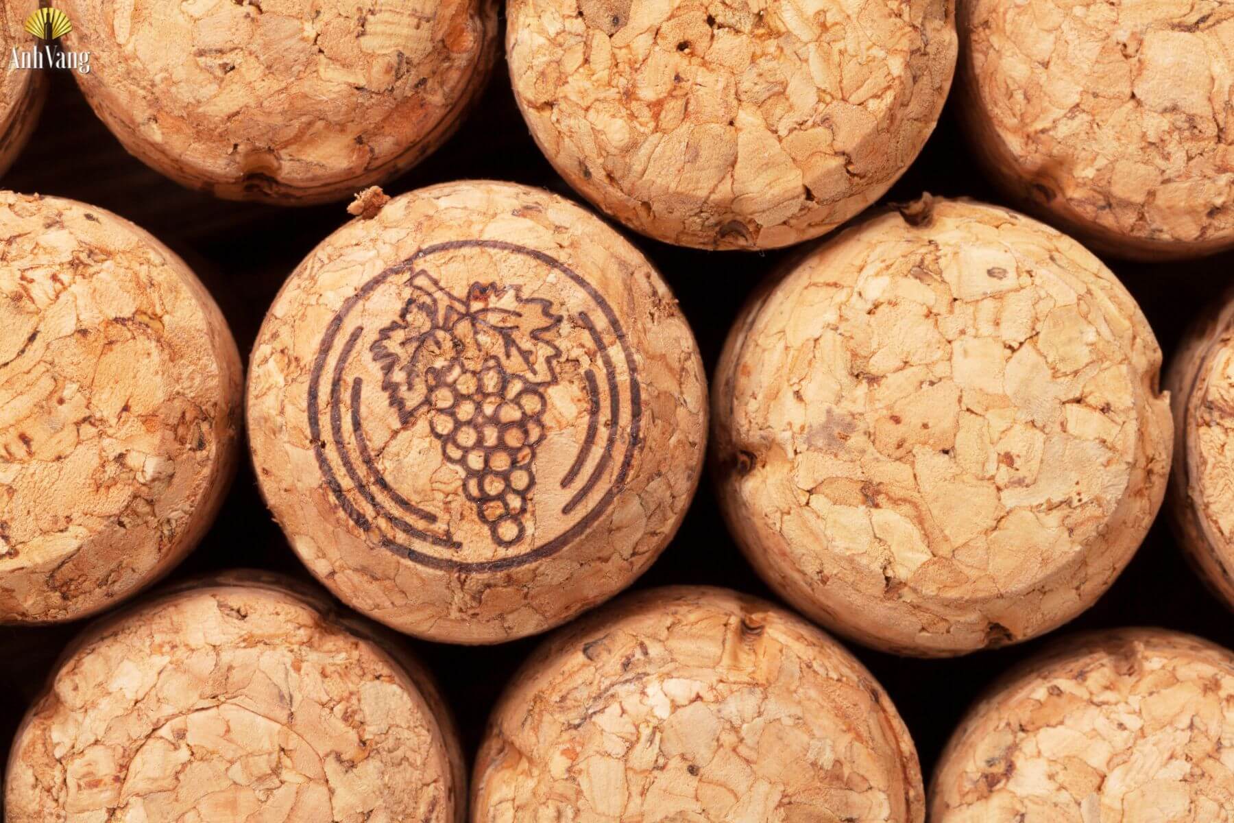 xac-dinh-nien-vu-xau-tot