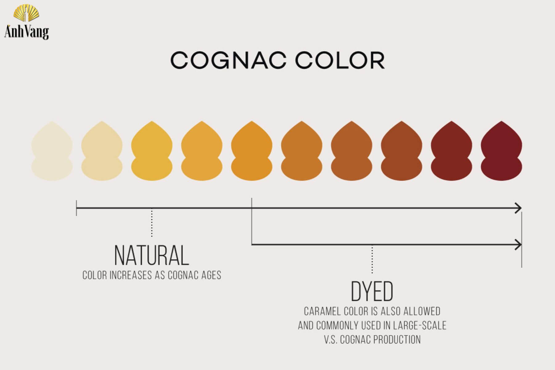 cac-loai-ruou-cognac-quan-sat-mau-sac-cua-ruou