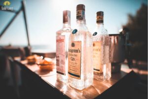 cac-loai-ruou-gin-anh-bia