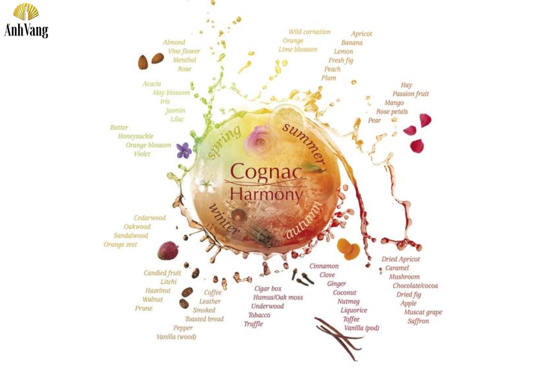 cac-loai-ruou-xo-diem-khac-biet-so-voi-nhung-dong-ruou-khac