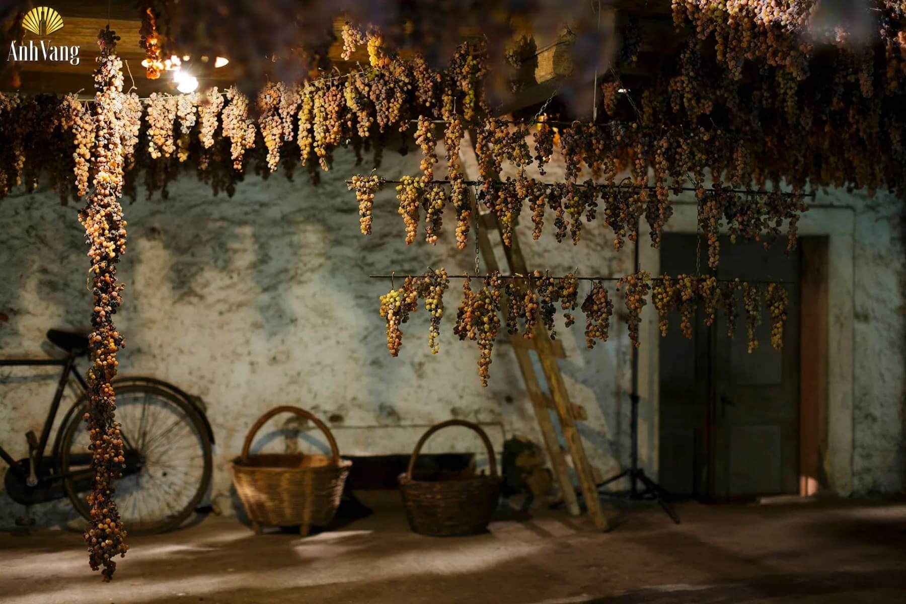 loi-ich-phuong-phap-Appassimento