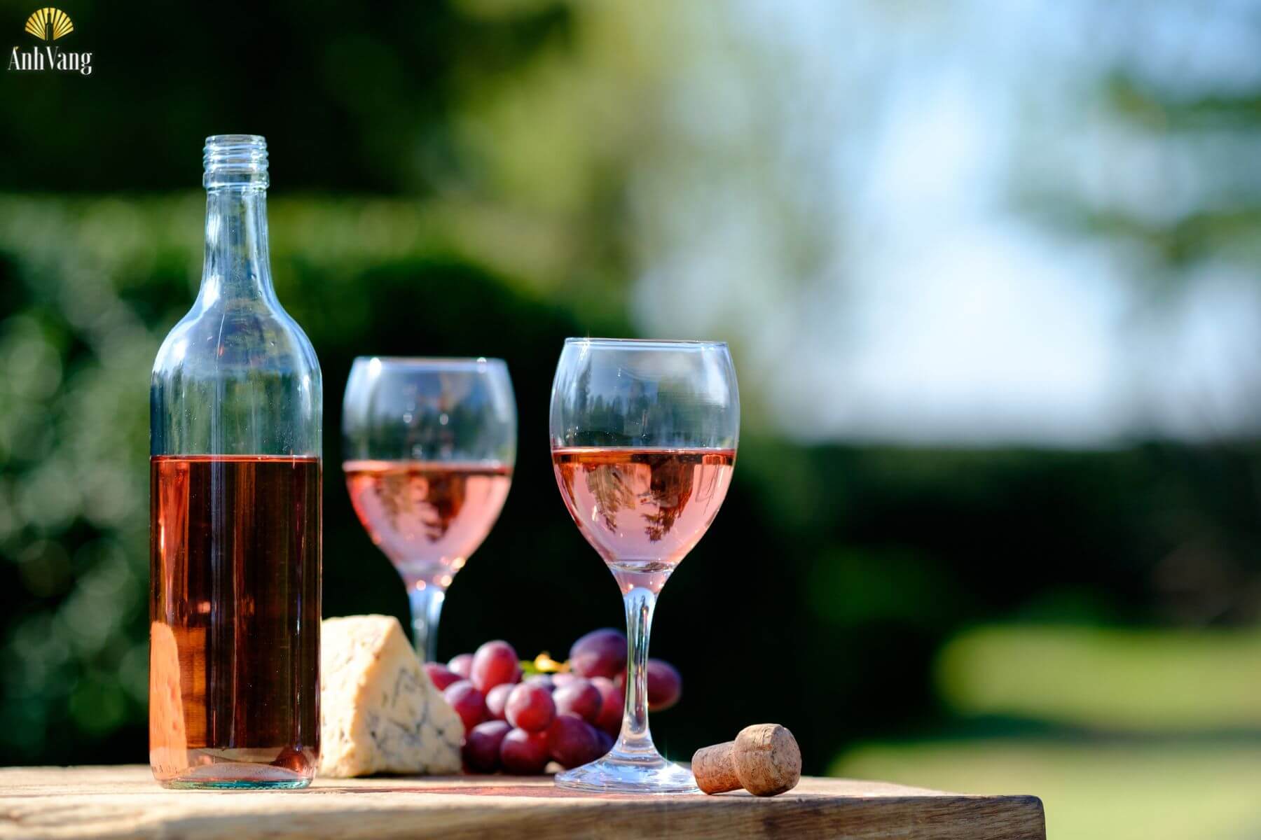 nguon-goc-nho-cinsault