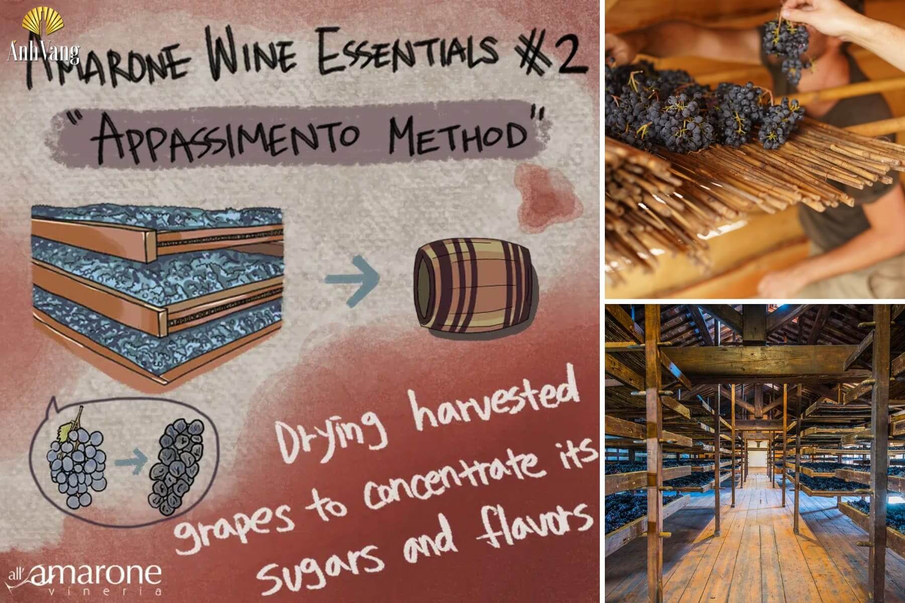 quy-trinh-ky-thuat-appassimento