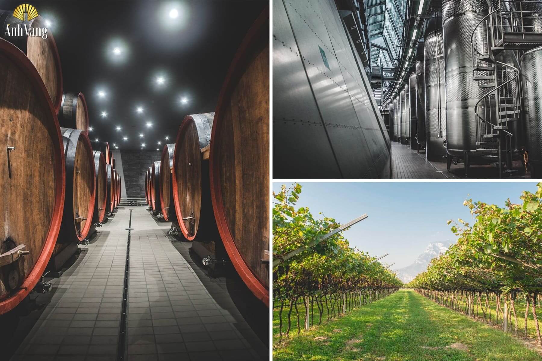 quy-trinh-san-xuat-thuong-hieu-Castel-Firmian