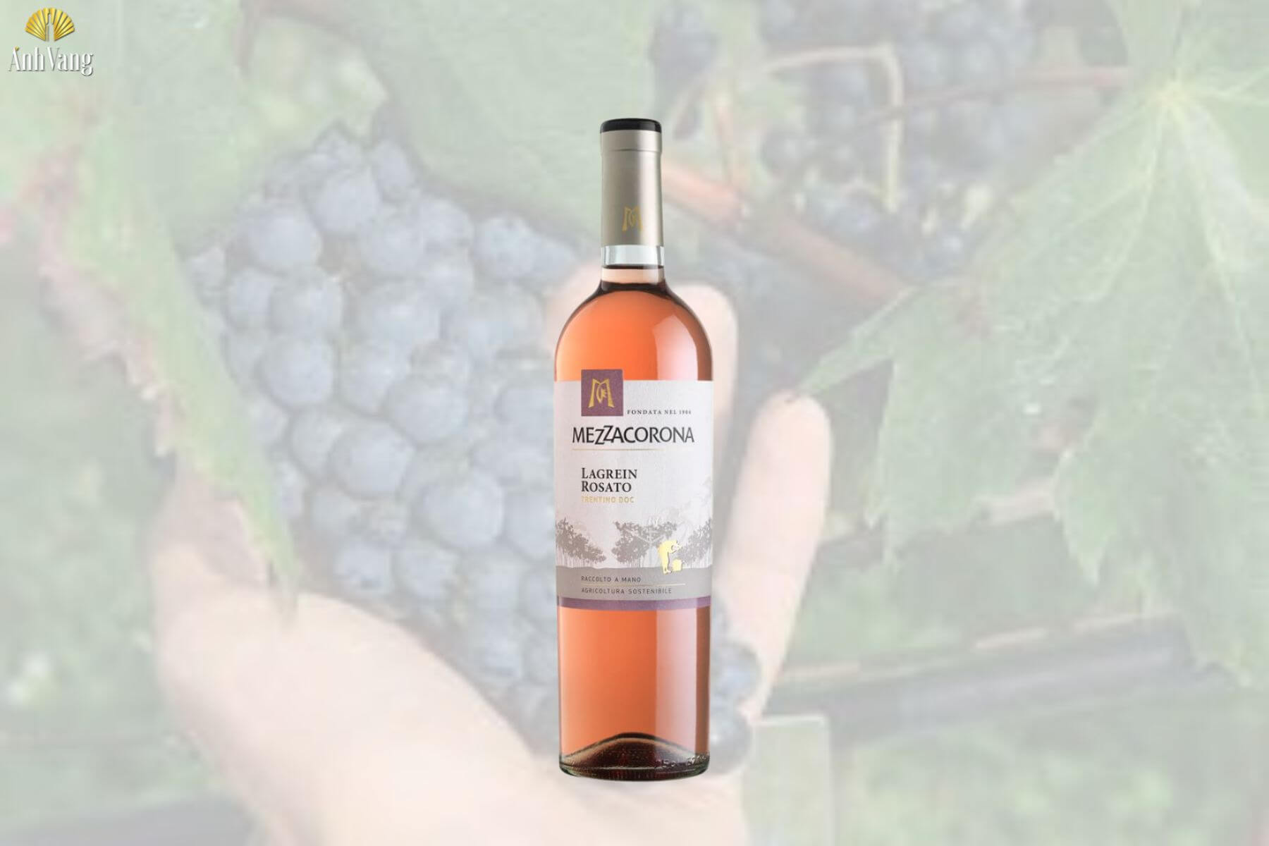 ruou-vang-lagrein-tai-anh-vang