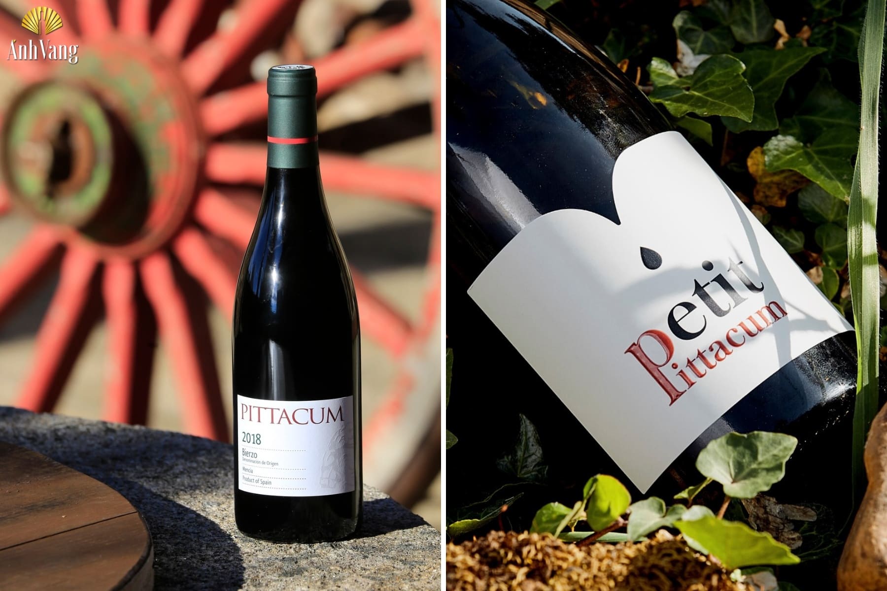 cac-chai-ruou-vang-noi-tieng-den-tu-vung-bierzo