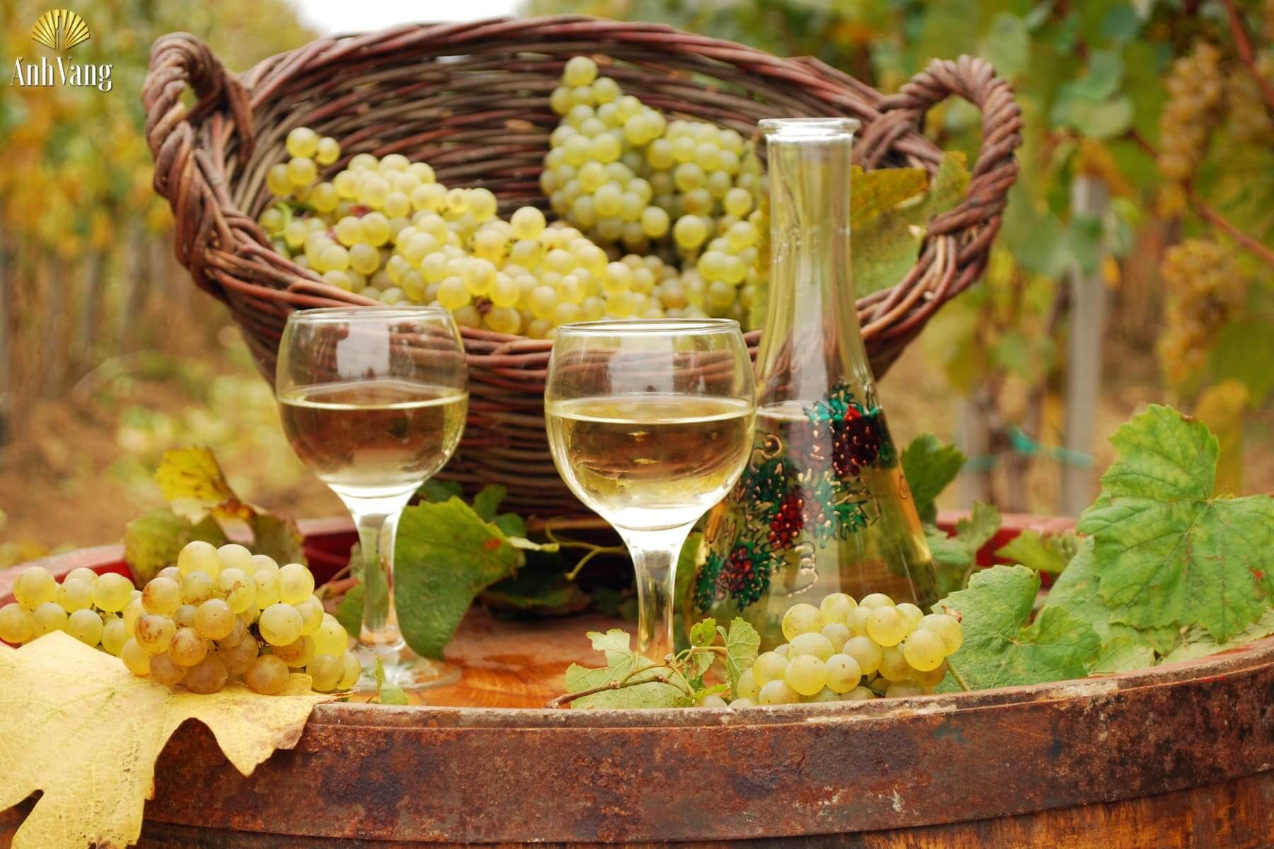 huong-vi-vang-tu-giong-nho-fiano