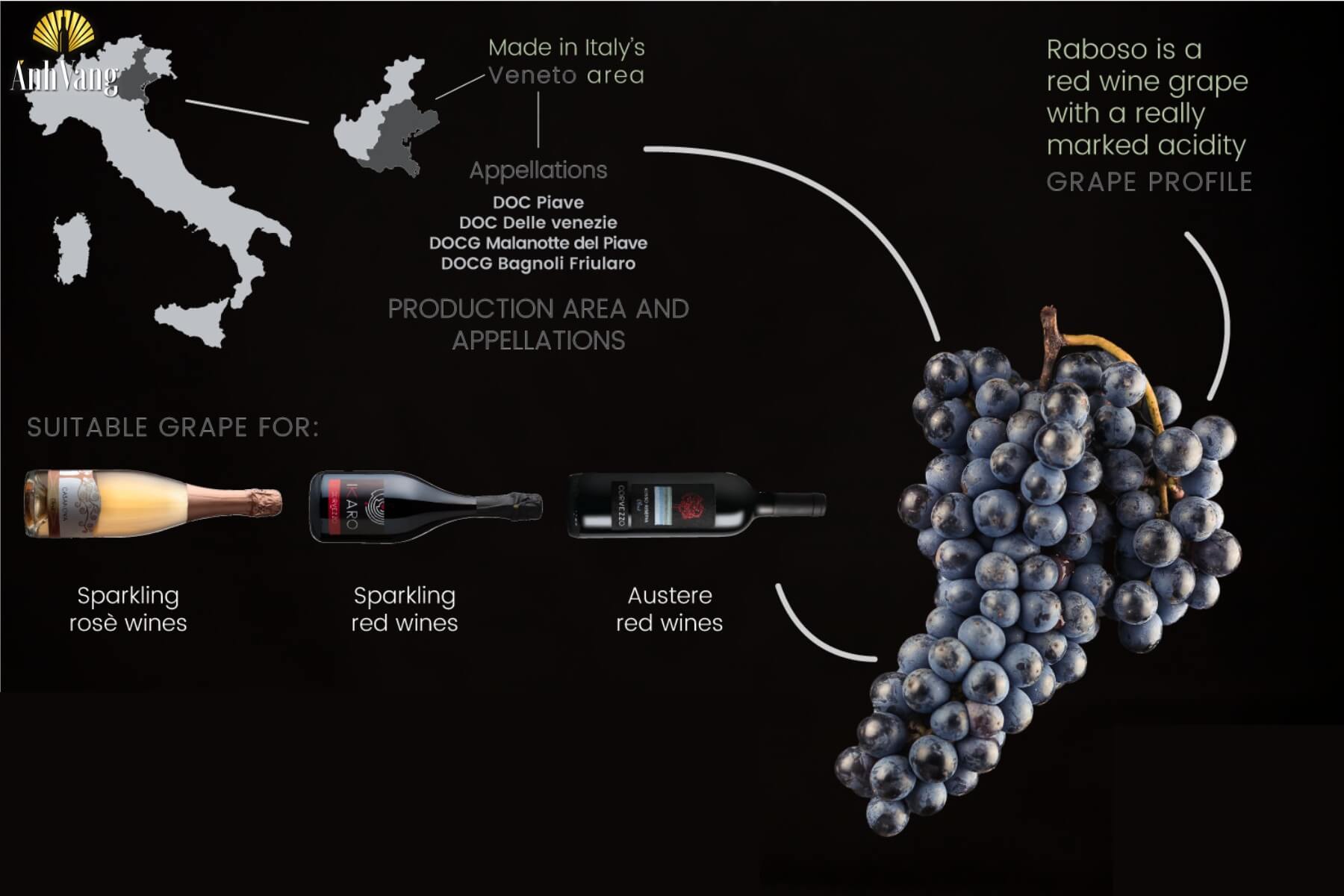 lich-su-giong-nho-Raboso-Piave