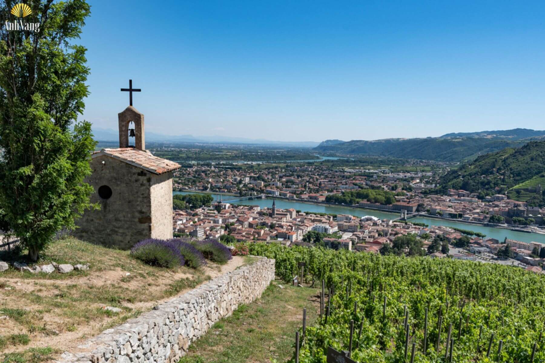 lich-su-nho-viognier