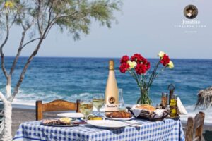 ruou-vang-ngon-gia-duoi-1-trieu-5