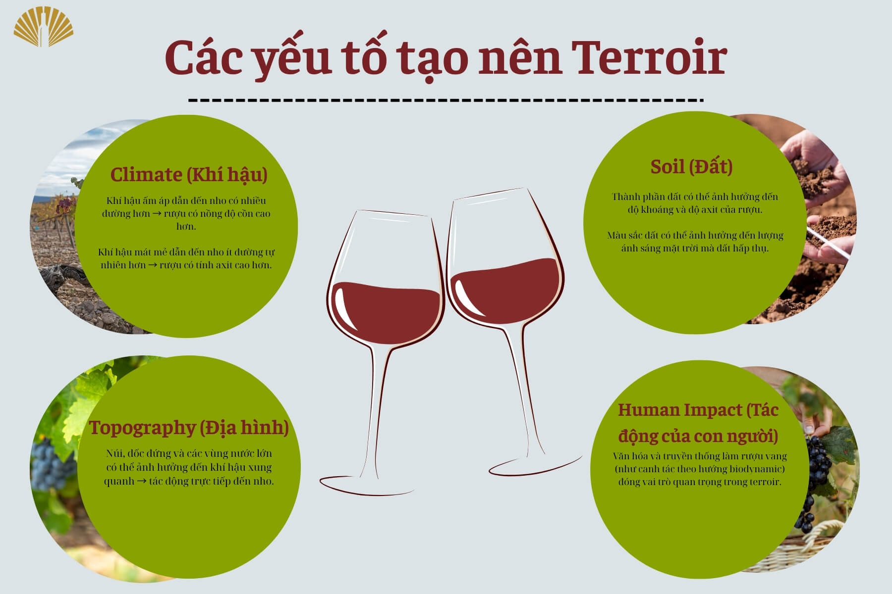 cac-yeu-to-tao-nen-terroir-2